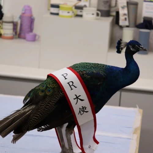 News – ピーコック魔法瓶公式オンラインショップ